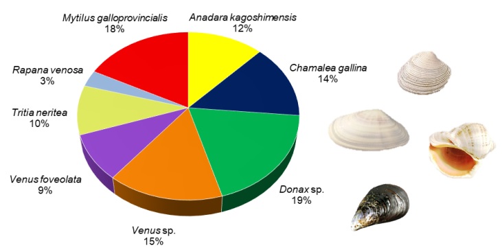 Sample of an image from paper